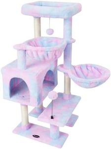 KIYUMI Cat