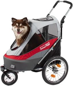InnoPet Sp