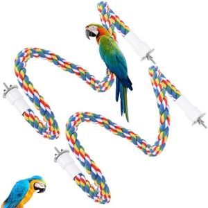 2Pcs Bird 