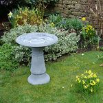 Everything Wildlife Cameo Bird Bath With Tall Stem