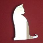 Super Cool Creations Cat Mirror 35cm x 30cm