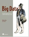 Big Data:Principles and best practices of scalable realtime data systems