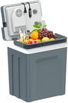 SHAREWIN Electric Cooler & Warmer w