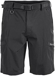 ROXJOURNEY Men's Hiking Shorts Quick Dry Lightweight Outdoor Sports Hiking Shorts Stretch Quick Dry Shorts with Pockets (Large, Black)