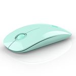 RAPIQUE R306 Wireless Mouse, Green, Bluetooth, USB, 480 hours battery life, 1600 DPI, Compatible with Windows, MacOS, Chromebook, Surface Pro, Laptops, PCs, and Computers