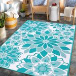 Water Resistant Rugs