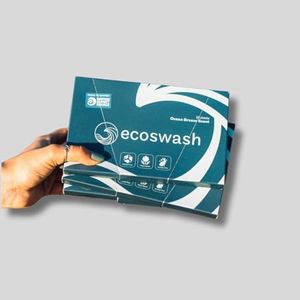 ecoswash L
