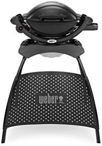 Weber Q100