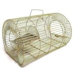 Lifekrafts Iron Rat Trap Cage – Humane Catch & Release Plank Trap. No-Kill Rodent House for Live Capture, a Friendly Pest Control Solution for All Rat Types (Size:L-30.5,W-20.5,H-17.5cm),Green Gold