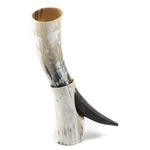 Drinking Horn with Horn Stand Ox Horn - Polished - Viking Drinking Horn Beer Cup Mug - 10 to 12 Inches in Length Perfect for Reenactment …