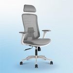 Vergo Icon Premium Mesh Office Chair High Back, Lumbar, 4D Adjustable Armrests Tilt Lock Mechanism, Aluminum Base Seat Slider, Ergonomic Work from Home, Study Desk Chair, 3 Years Warranty (White Grey)