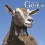 Goats Calendar - 2016 Wall calendars - Animal Calendar - Monthly Wall Calendar by Avonside