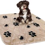 Washable Pee Pads for Dogs, 2- Pack Large 30 x 32 Reusable Dog,Puppy Wee Wee, Whelping and Training Pad for Home, Apartment, Crate and Travel