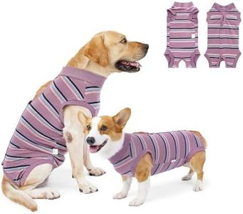 NACOCO Dog