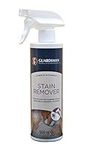 Guardsman Fabric & Carpet Stain Remover Spray, 500 ml - Upholstery Cleaner - Restore Fabric Upholstery – Furniture Cleaning Spray for Carpets, Sofas, Car interior, Dining Chairs & Rugs