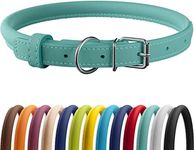 CollarDirect Rolled Leather Dog Collar, Soft Padded Round Puppy Collar, Handmade Genuine Leather Collar Dog Small Large Cat Collars 13 Colors (6 Inch, Mint Green Smooth)