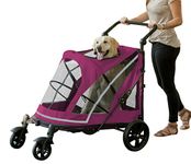 Pet Gear No-Zip Expedition Zipperless Entry Boysenberry Pet Stroller