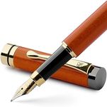 Wordsworth & Black's Fountain Pen S