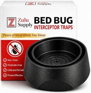 Bed Bug In