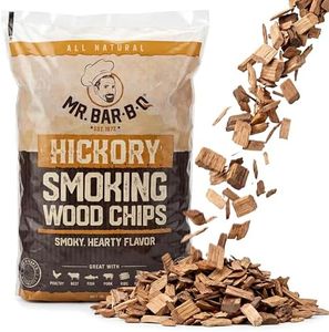 Mr. Bar-B-