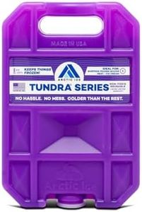 ARCTIC ICE Tundra Series Reusable Cooler Pack, Ice Pack, 1201, Purple, Small