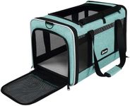 GAPZER Cat Carrier 18"x11"x11" TSA 