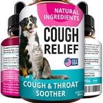 Decongestant For Dogs