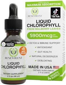 Benevolent Nourishment Chlorophyll Supplement, Detox & Immune Support, Internal Deodorizer, Liquid Drops