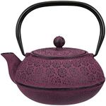 30 oz Cast Iron Teapot Enamel Lining W/Metal Infuser Tea Kettle,Purple