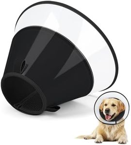 Joypig Dog