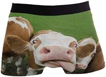 ZZKKO Funny Cow Mens Boxer Briefs Underwear Breathable Stretch Boxer Trunk with Pouch XL Brown