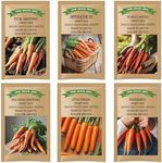 6 Carrot Seed Variety Pack (6 Packs