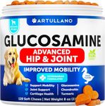 Glucosamine for Dogs - Advanced Hip and Joint Supplement for Dogs - Glucosamine Chondroitin for Dogs - Dog Joint Pain Relief - MSM - Support Dog Joint Supplement Health - 120 Chews