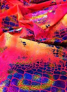 Holographi