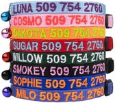 GoTags Personalized Cat Collars wit