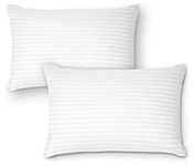 DreamNorth Premium Gel Pillow Loft 