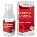 Bandini® Liposomal Vitamin B Complex Liquid | High Strenght B-Complex B1, B2, B3, B5, B6, B7, B9, B12 | High Bioavailability & Absorption | Reduction of Tiredness, Energy & Immune Support | Vegan