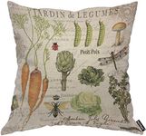 AOYEGO Vintage French Vegetable Throw Pillow Cover Carrots Fresh Healthy Insect Organic Cabbage Petit Pois Greenery Pillow Case 18x18 Inch Decorative Men Women Room Cushion Cover for Home Bed