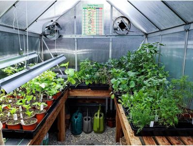 Vegetable Growing Planner Poster – UK Garden Planting Guide