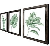 Botanical Leaf Paintings |Set of 3| for Rustic Home Plant Wall Decor - Reproductions of Original Artwork for Refreshing Home Office, Bedroom, Bathroom, or Kitchen Boho Greenery Wall Artwork Decor (Black Frames, 11x14)
