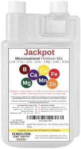 Jackpot Mi