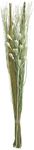 Deco 79 Dried Plant Branch Handmade Natural Foliage Tall Floral Bouquet with Grass Stems, 7" x 5" x 40", Green