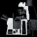 RAYSCOPE - Inverted Fluorescent Research Microscope - (Code : RYS-60-FL)