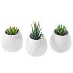 MyGift 4 Inch Golf Ball-Inspired White Ceramic Wall-Mountable Mini Planters, Hanging Succulent Pots, Set of 3