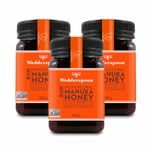 Wedderspoon 100% Raw KFactor 16 Manuka Honey 500 gram (Pack of 3)