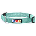 Pawtitas Dog Collar for Extra Small Dogs Reflective Training Adjustable Puppy Collar with Stich - XS - Teal