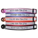 GoTags Personalized Reflective Cat 
