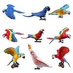 TOYMANY 9PCS Realistic Parrot Birds Figurines, 2-4" Plastic Macaw Animals Figures Set Includes Cockatoo,Scarlet Macaw, Educational Toy Cake Toppers Christmas Birthday Gift for Kids Toddlers