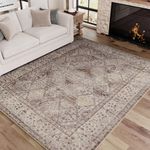 Area Rugs for Living Room Rug Machine Washable 5x7 Area Rug Vintage Floral Carpet Rugs for Bedrooms Office Rug Oriental Dining Room Rug Distressed Large Retro Rug Brown