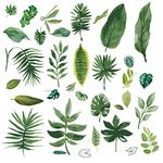 CRASPIRE 16 Sheets Leaf Wall Stickers Tropical Plants Wall Decals Green Window Stickers Decals Clings PVC Waterproof Self Adhesive Peel and Stick Decor for Bedroom Nursery Living Room Store Dorm